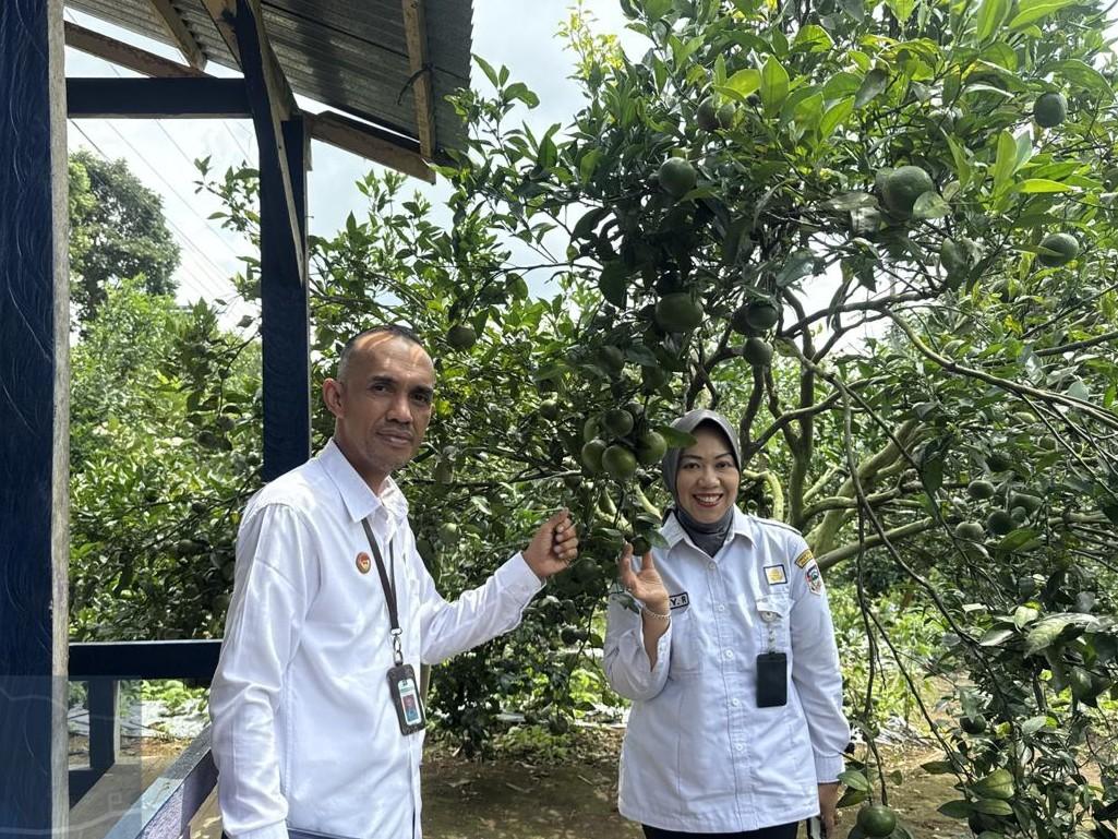 WhatsApp Image 2025 12 03 at 18.26.35 1972e45a