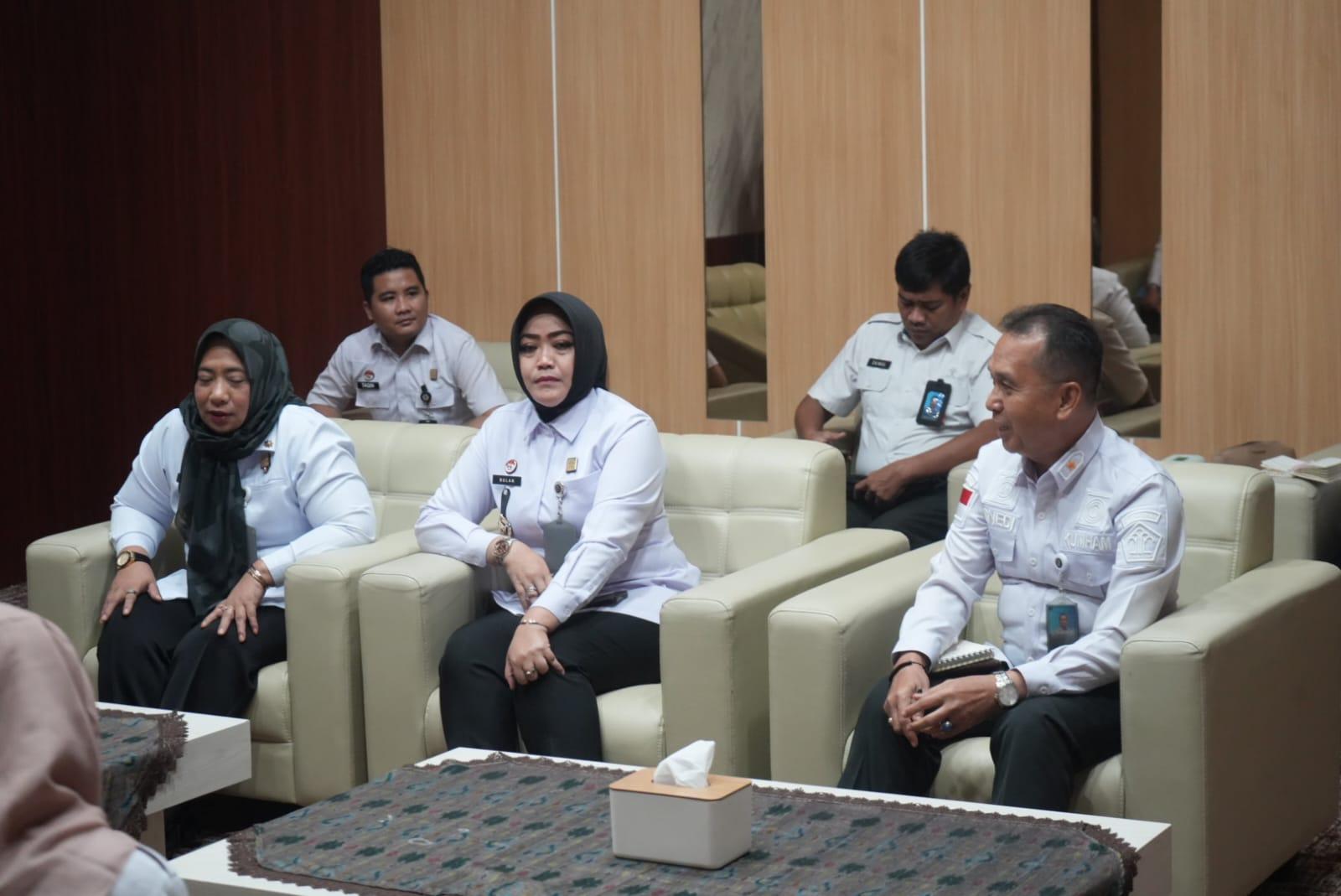 WhatsApp Image 2026 02 25 at 11.33.30